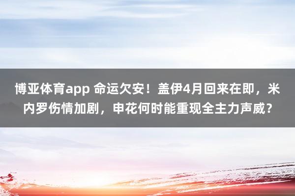 博亚体育app 命运欠安！盖伊4月回来在即，米内罗伤情加剧，申花何时能重现全主力声威？
