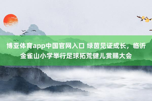 博亚体育app中国官网入口 绿茵见证成长，临沂金雀山小学举行足球拓荒健儿赏赐大会
