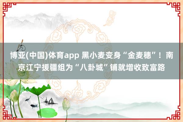 博亚(中国)体育app 黑小麦变身“金麦穗”！南京江宁援疆组为“八卦城”铺就增收致富路