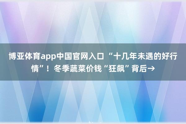 博亚体育app中国官网入口 “十几年未遇的好行情”！冬季蔬菜价钱“狂飙”背后→