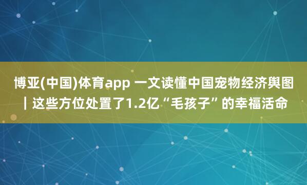 博亚(中国)体育app 一文读懂中国宠物经济舆图｜这些方位处置了1.2亿“毛孩子”的幸福活命