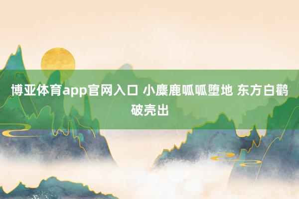 博亚体育app官网入口 小麋鹿呱呱堕地 东方白鹳破壳出