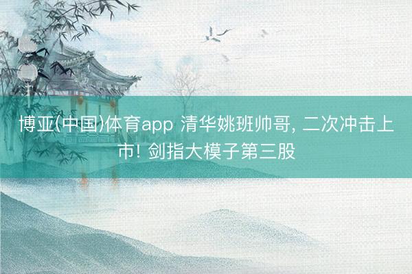 博亚(中国)体育app 清华姚班帅哥, 二次冲击上市! 剑指大模子第三股