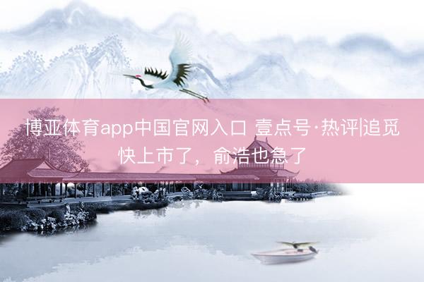 博亚体育app中国官网入口 壹点号·热评|追觅快上市了，俞浩也急了