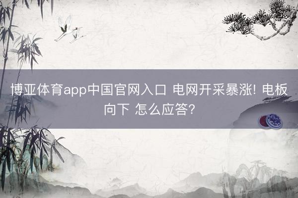 博亚体育app中国官网入口 电网开采暴涨! 电板向下 怎么应答?