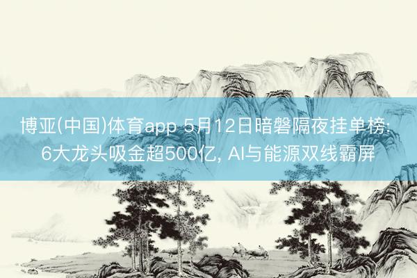 博亚(中国)体育app 5月12日暗磐隔夜挂单榜: 6大龙头吸金超500亿， AI与能源双线霸屏