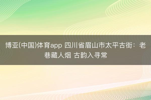 博亚(中国)体育app 四川省眉山市太平古街：老巷藏人烟 古韵入寻常