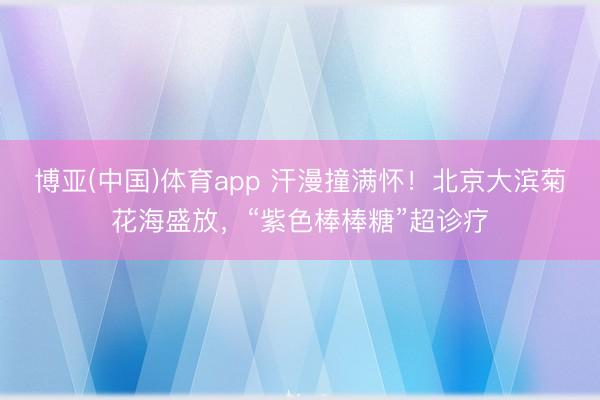 博亚(中国)体育app 汗漫撞满怀！北京大滨菊花海盛放，“紫色棒棒糖”超诊疗