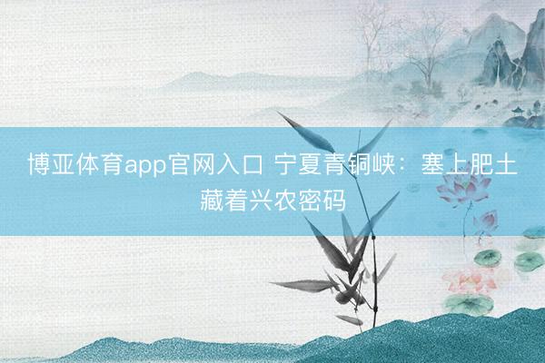 博亚体育app官网入口 宁夏青铜峡：塞上肥土藏着兴农密码
