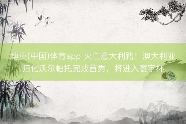 博亚(中国)体育app 灭亡意大利籍!澳大利亚归化沃尔帕托完成首秀,将进入寰宇杯