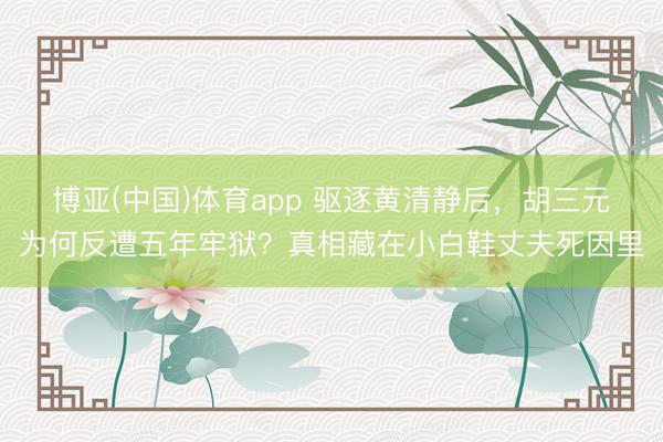 博亚(中国)体育app 驱逐黄清静后，胡三元为何反遭五年牢狱？真相藏在小白鞋丈夫死因里
