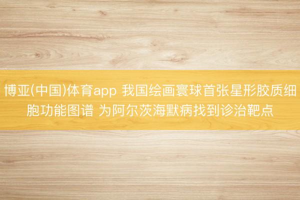 博亚(中国)体育app 我国绘画寰球首张星形胶质细胞功能图谱 为阿尔茨海默病找到诊治靶点