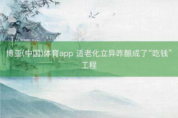 博亚(中国)体育app 适老化立异咋酿成了“吃钱”工程