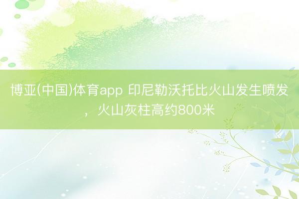 博亚(中国)体育app 印尼勒沃托比火山发生喷发，火山灰柱高约800米